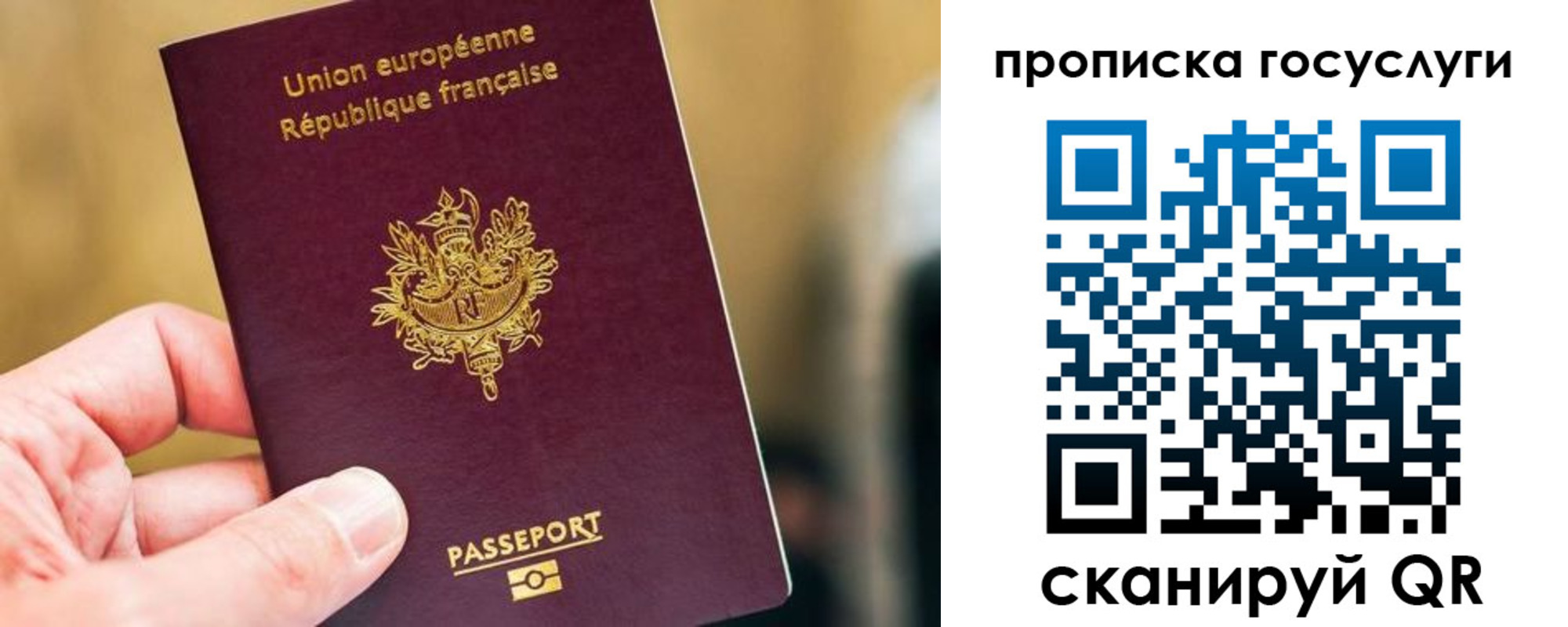 временная регистрация поиск в Ставропольском крае
